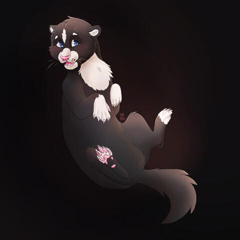 Ferret
