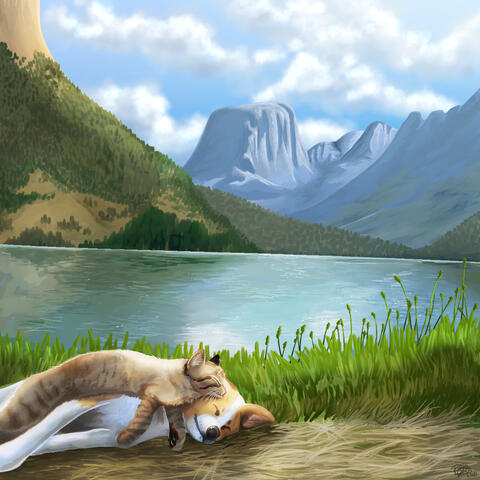 Resting pets