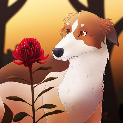 Borzoi with a flower